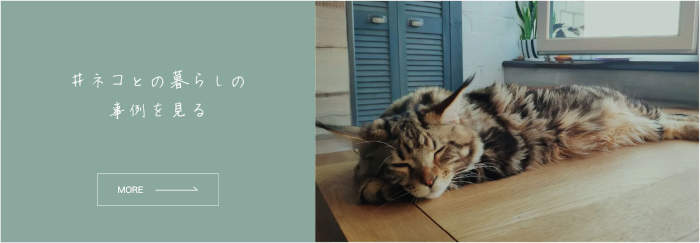 猫と住むマンションリノベの事例集