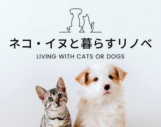 ネコ・イヌのいる暮らし×リノベーション