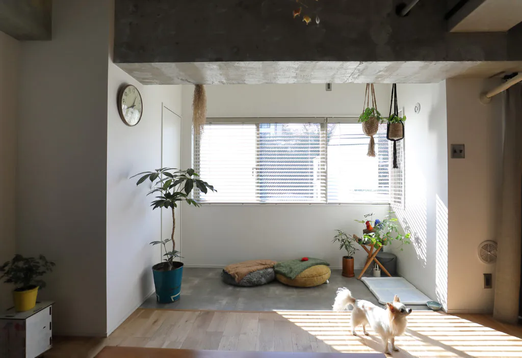 浦安で「ペット可」中古マンションを探すコツとリノベーションポイント