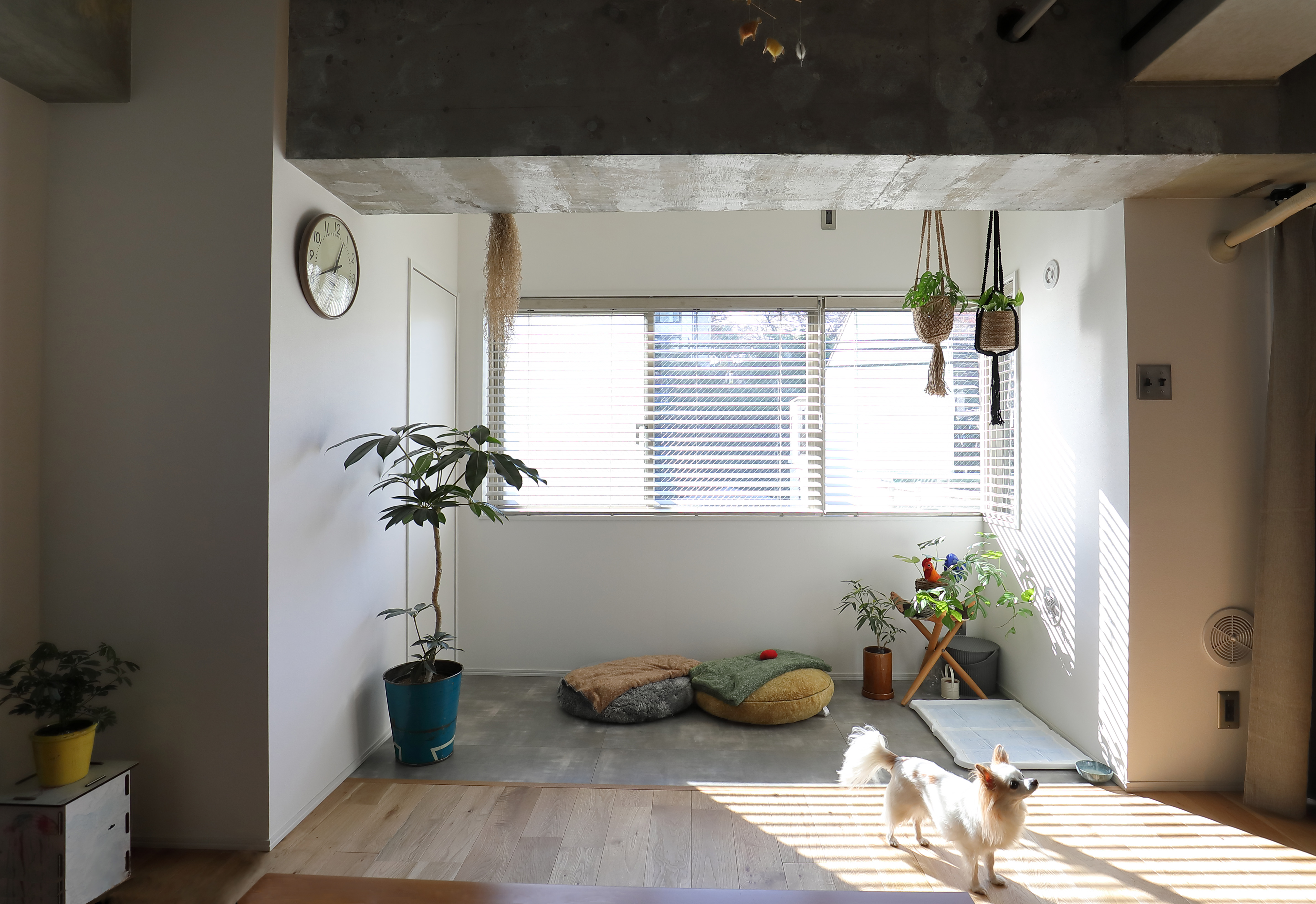 ほどよく無機質でハイセンスなお部屋づくり 東京のおしゃれマンションリノベ実例 リノベーションのshuken Re マンション 住宅 中古物件をリフォームやリノベで住みやすくデザインし施工します