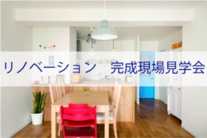 urayasu shinurayasu ichikawa kansei renovation openroom muku pop colorful