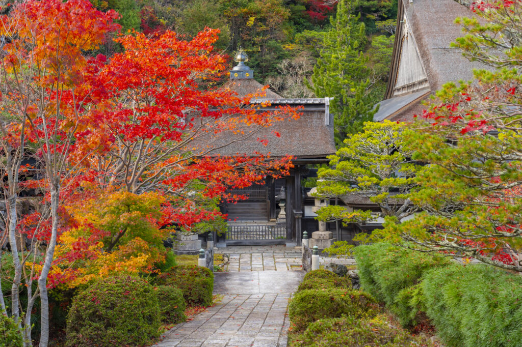 民泊経営している寺の境内