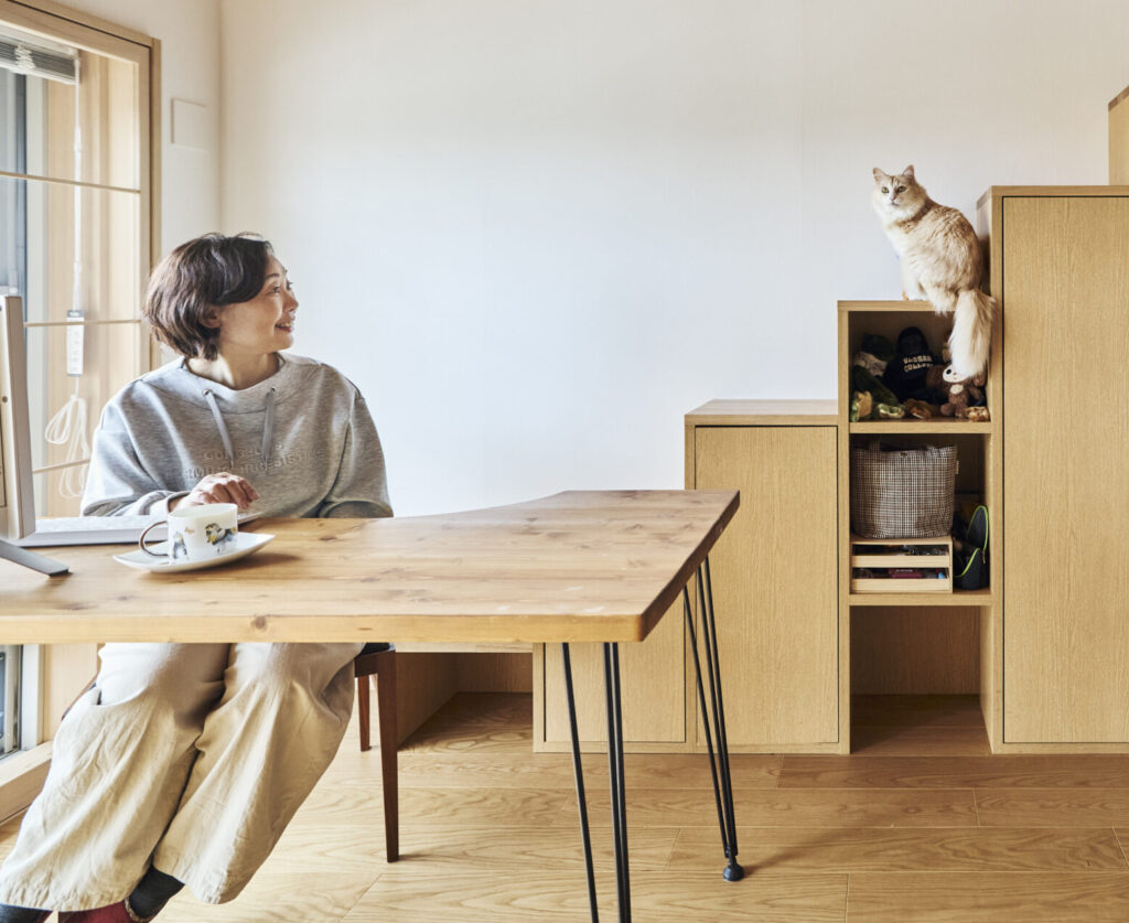Work with cats