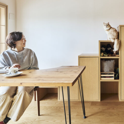 Case.208 - Work with cats