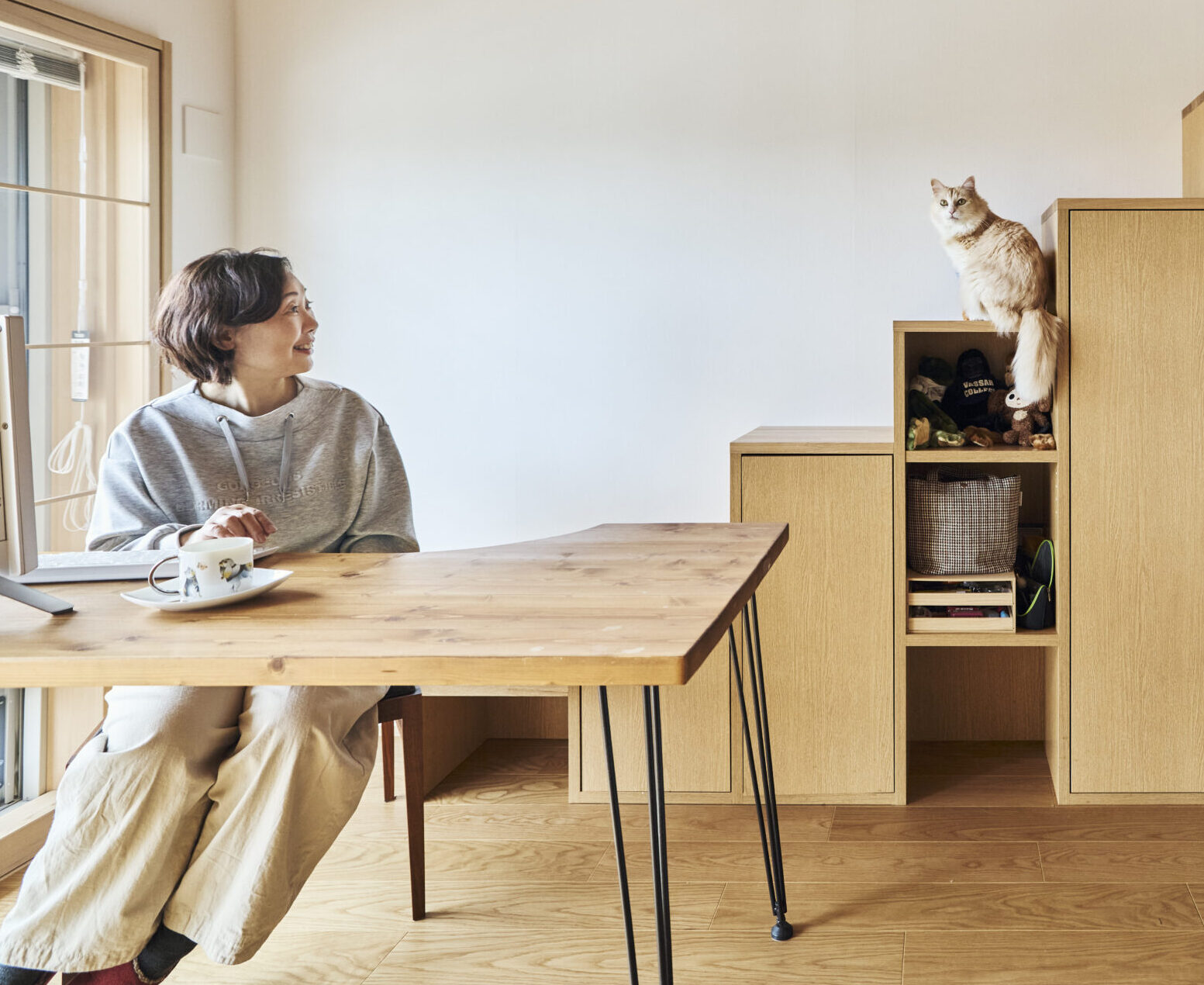 Work with cats