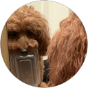 tino 1101 profile picture
