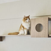 夫婦の歩みに寄り添うリノベ|千葉県市川市のリノベーション事例