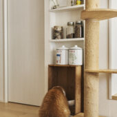 夫婦の歩みに寄り添うリノベ|千葉県市川市のリノベーション事例