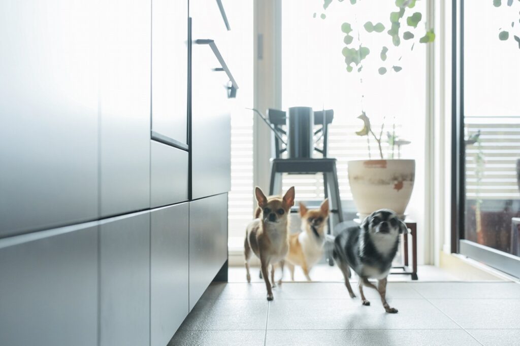 わんちゃんたちにとっても思い出のお住まいに