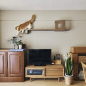 夫婦の歩みに寄り添うリノベ|千葉県市川市のリノベーション事例