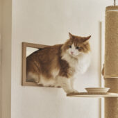 夫婦の歩みに寄り添うリノベ|千葉県市川市のリノベーション事例