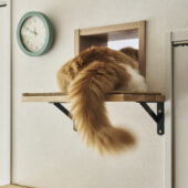 夫婦の歩みに寄り添うリノベ|千葉県市川市のリノベーション事例