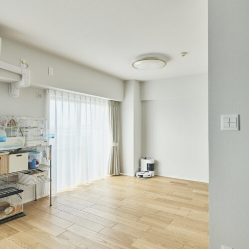 Case.223 - Bird Cafe