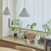 |千葉県市川市のリノベーション事例