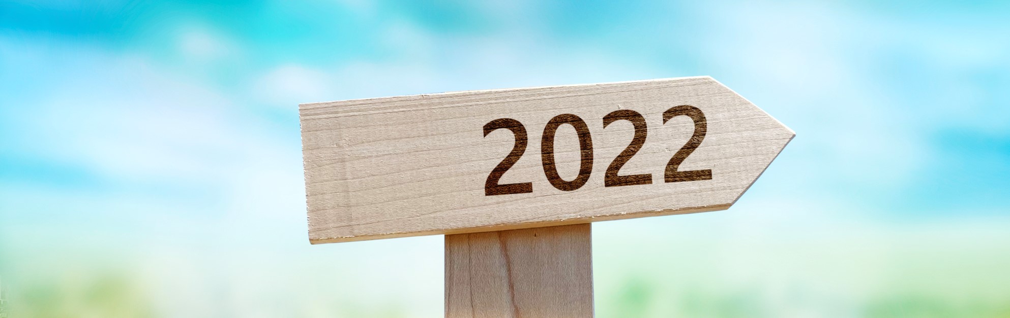 2022年