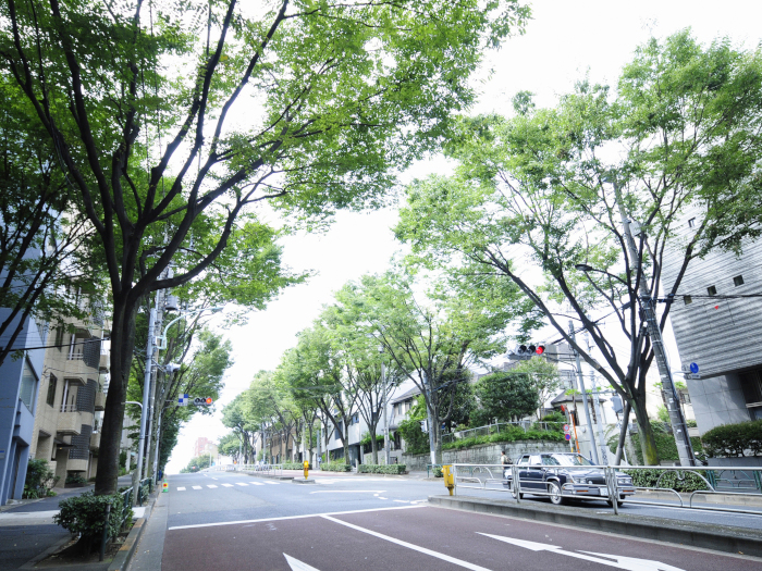 「住みたい駅・街ランニング上位」渋谷区内でも特に人気な代々木上原